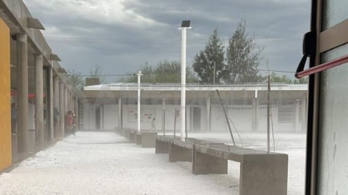 El fenómeno que atravesó la ciudad se caracterizó por una intensidad y virulencia. El fenómeno que atravesó la ciudad se caracterizó por una intensidad y virulencia.