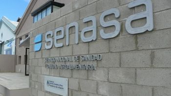 Renunció Pablo Cortese, el presidente del Senasa