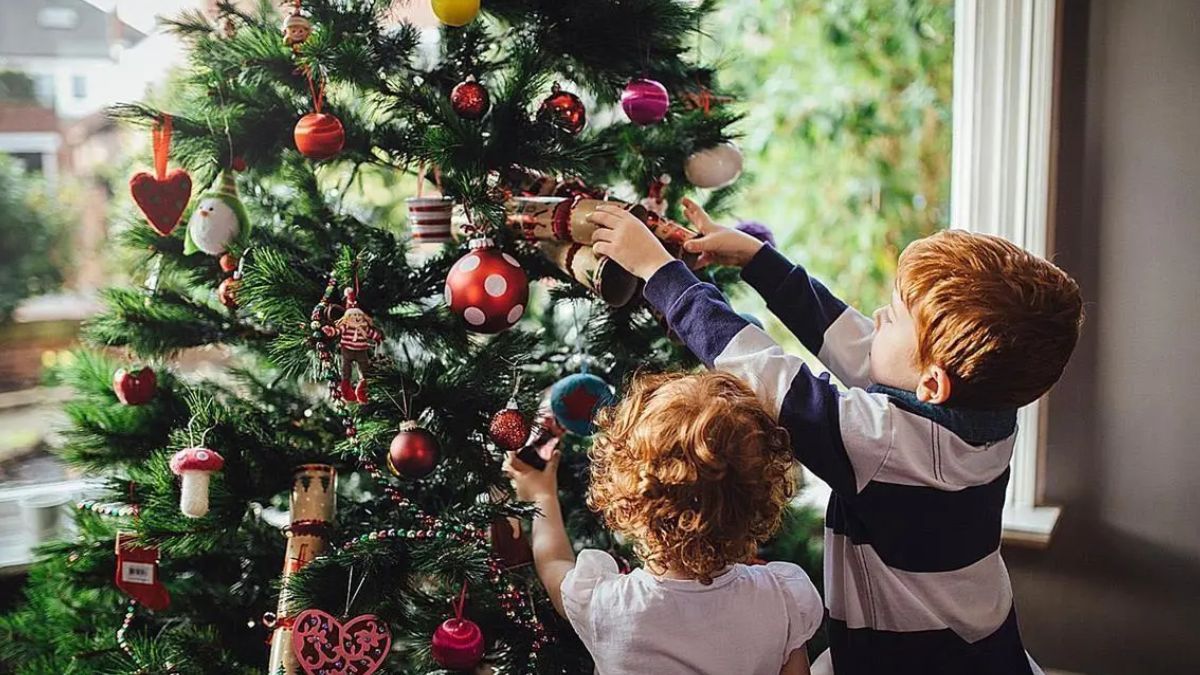 Evitá bloqueos: nunca ubiques el pino frente al baño o en pasillos estrechos para que el Chi fluya libremente.
