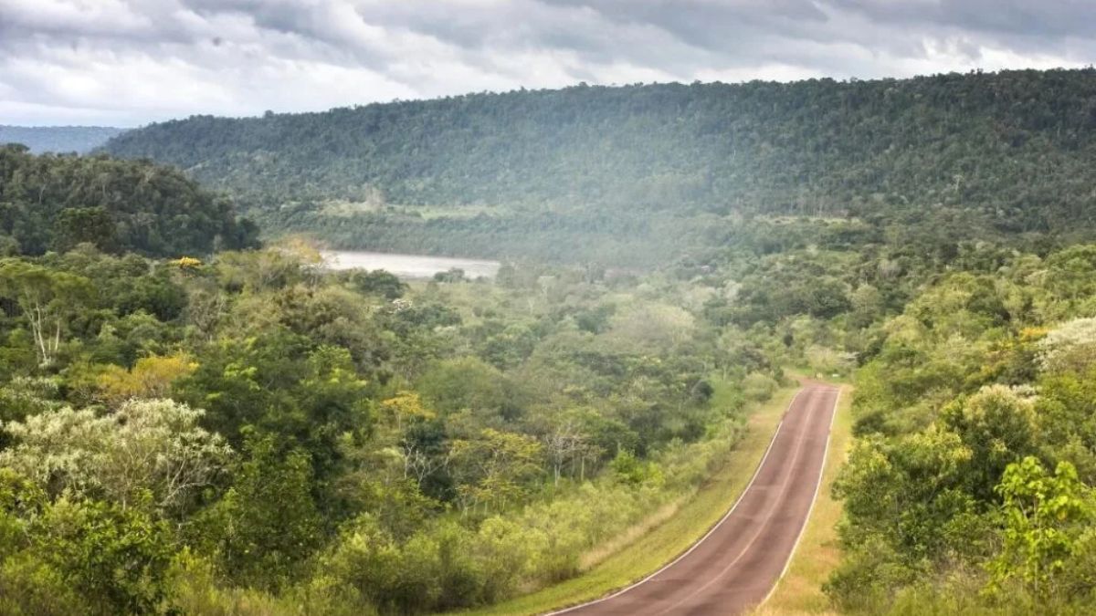 La Reserva de Biósfera Yabotí, un santuario natural de 250.000 hectáreas, es uno de los mayores atractivos de El Soberbio. La Reserva de Biósfera Yabotí, un santuario natural de 250.000 hectáreas, es uno de los mayores atractivos de El Soberbio.