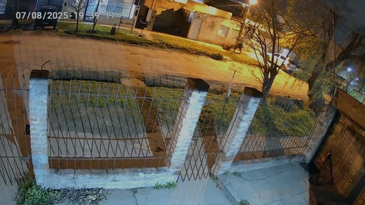 Barrio Liceo Norte: violento intento de asalto