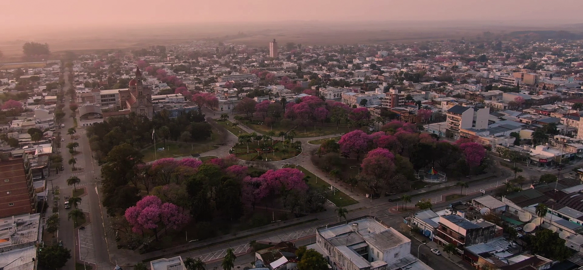 Reconquista está ubicada en el centro-este de la provincia de Santa Fe y se encuentra en unos de los humedales más grandes de Sudamérica.