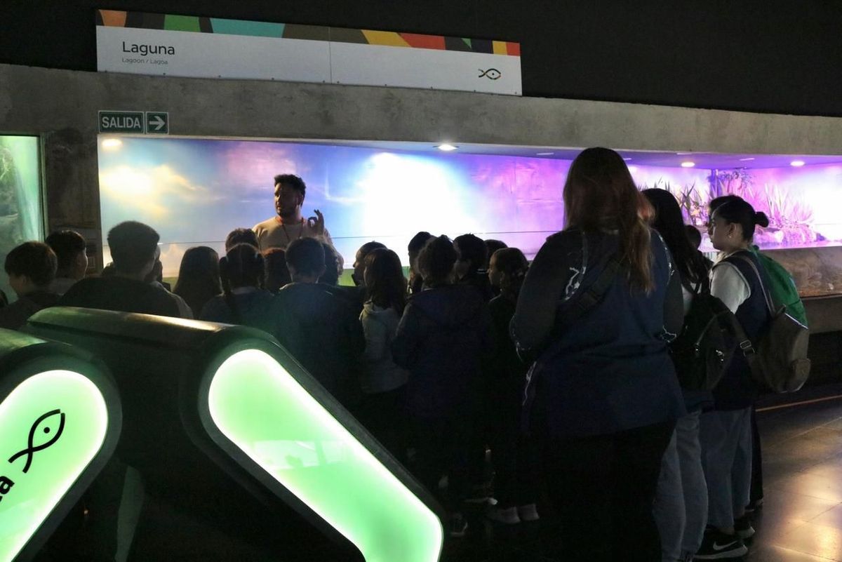 El Acuario del R&iacute;o Paran&aacute;, uno de los imperdibles de Rosario, tuvo un 2025 con crecimiento de visitantes.