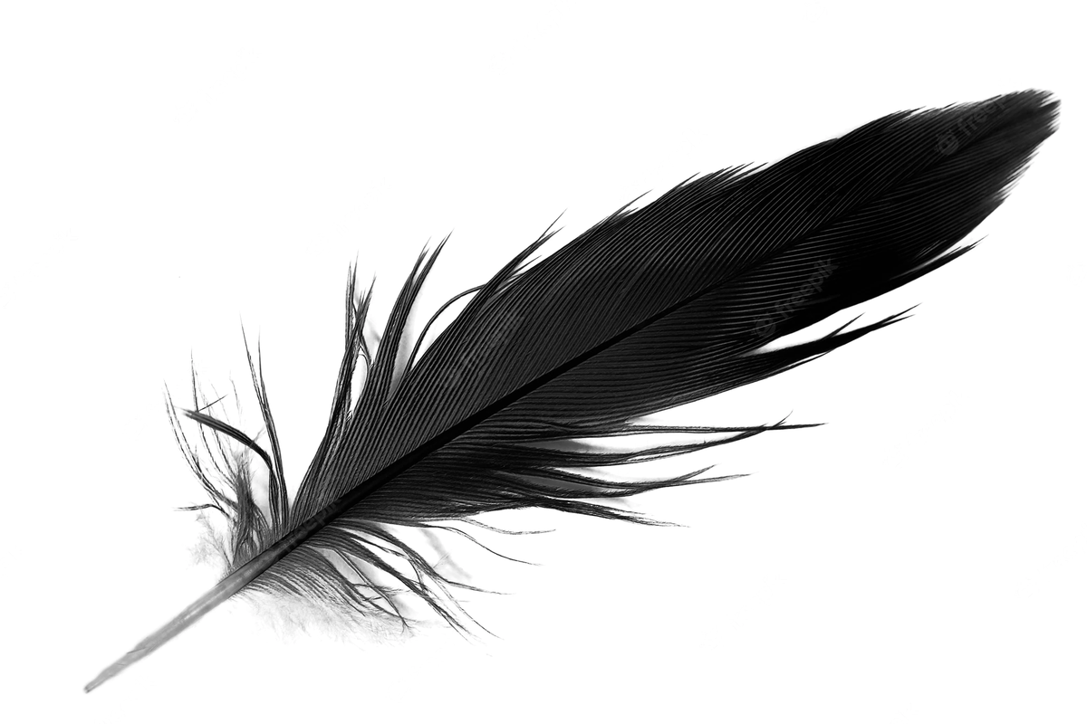 Qué significa ver una pluma negra