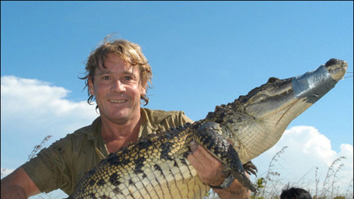 Revelan que Steve Irwin estaba drogado cuando falleció