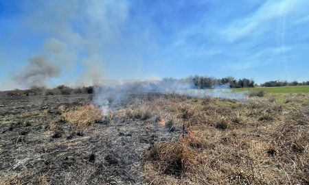 Un importante incendio de pastizales se originó durante el mediodía de este lunes en el kilómetro 151 de la autopista Rosario-Santa Fe. Un importante incendio de pastizales se originó durante el mediodía de este lunes en el kilómetro 151 de la autopista Rosario-Santa Fe.