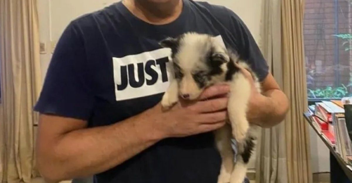 Su papá le prohibió que llevara un perro a su casa