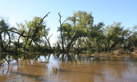 Jaaukanigás es un humedal ubicado en el río Paraná medio, al noreste de la provincia de Santa Fe. Jaaukanigás es un humedal ubicado en el río Paraná medio, al noreste de la provincia de Santa Fe.