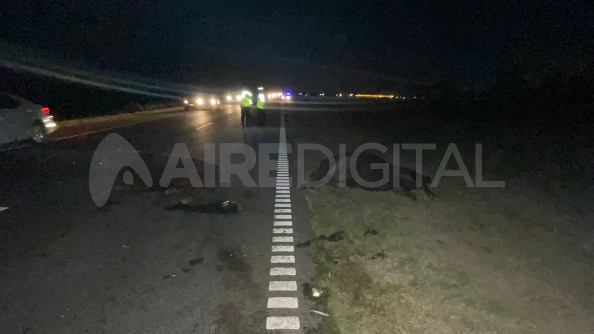 Dos animales murieron en el lugar del siniestro. Dos animales murieron en el lugar del siniestro.