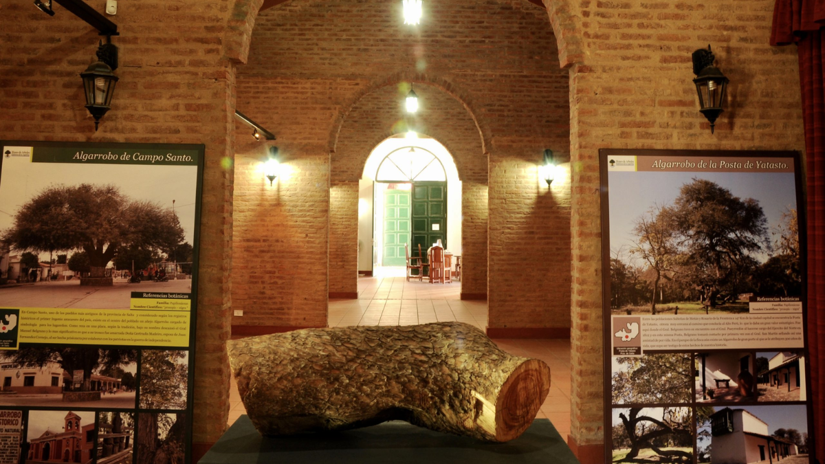 Museo de Árboles Históricos, un espacio dedicado a la muestra gráfica y fotográfica de los árboles con história. Museo de Árboles Históricos, un espacio dedicado a la muestra gráfica y fotográfica de los árboles con história.