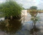 A 15 días del temporal que afectó al norte, no baja el agua en dos barrios de Villa Minetti. A 15 días del temporal que afectó al norte, no baja el agua en dos barrios de Villa Minetti.