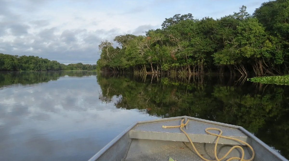 El estudio determinó que entre agosto y octubre del período 1979 y 2018, se registraron contrastes y una reducción de hasta el 34% en los niveles de precipitaciones.