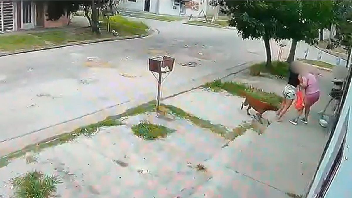 El momento en que la víctima se defendió de la agresora en la puerta de su casa.&nbsp;