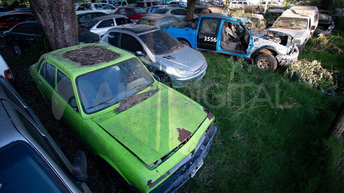 Abandonados. Los vehículos fueron depositados en el predio y desde entonces quedaron allí.