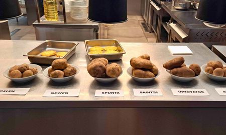 no todas las papas son iguales: que variedad elegir segun cada receta no todas las papas son iguales: que variedad elegir segun cada receta