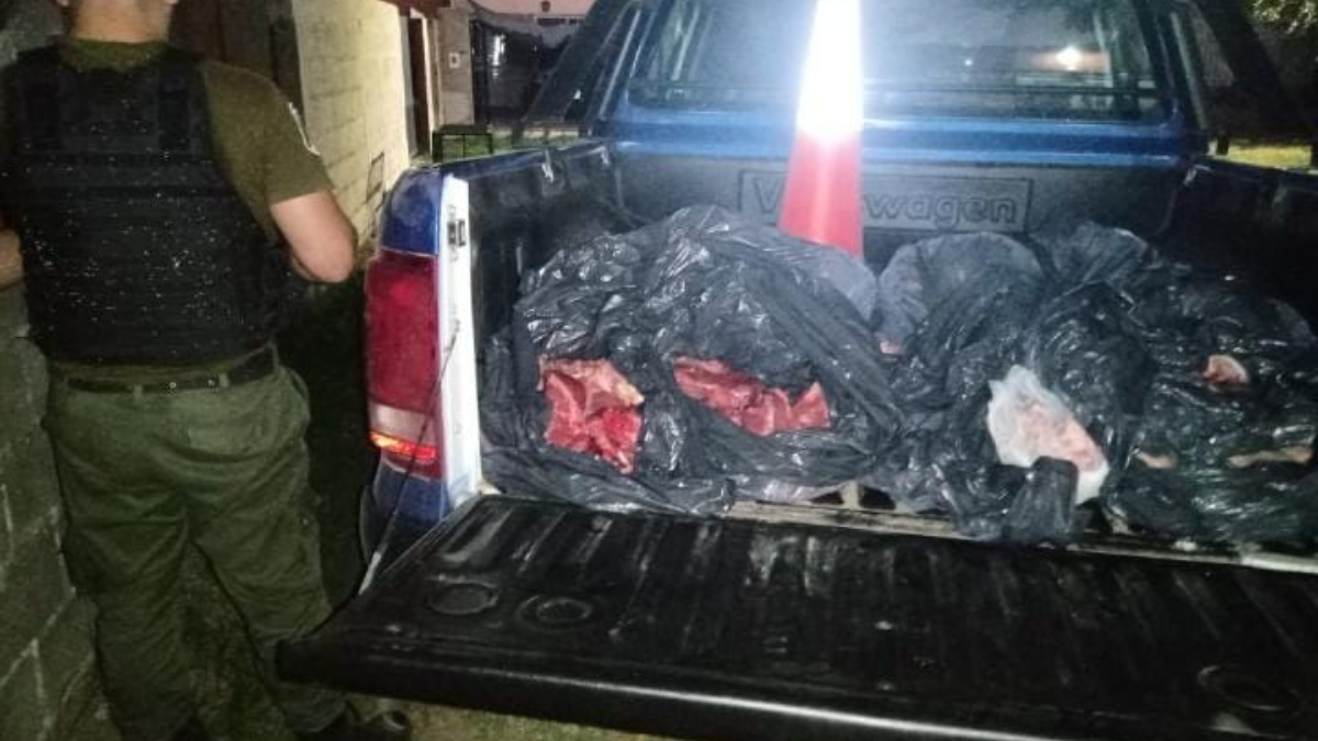 160 kilos of meat, knives, saws, and scales were abducted in Coronda.