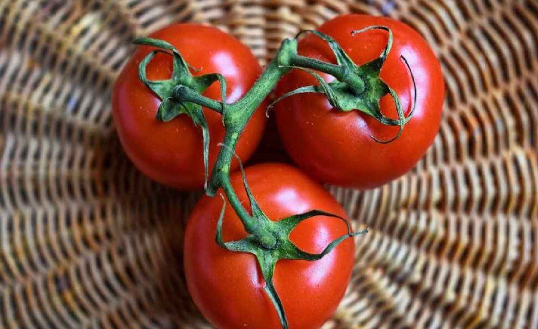 Tomates