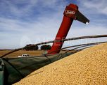 la actividad economica bajo 2,2% en febrero, cuando aun no golpeaba el coronavirus la actividad economica bajo 2,2% en febrero, cuando aun no golpeaba el coronavirus