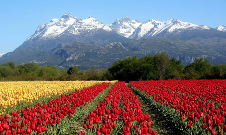 Cuándo empiezan las vacaciones de invierno en la provincia de Chubut Cuándo empiezan las vacaciones de invierno en la provincia de Chubut