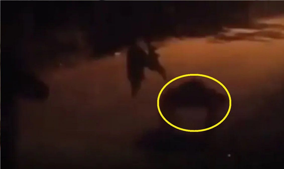 El video de la extraña criatura demoniaca que aterroriza a los vecinos de Bella Vista