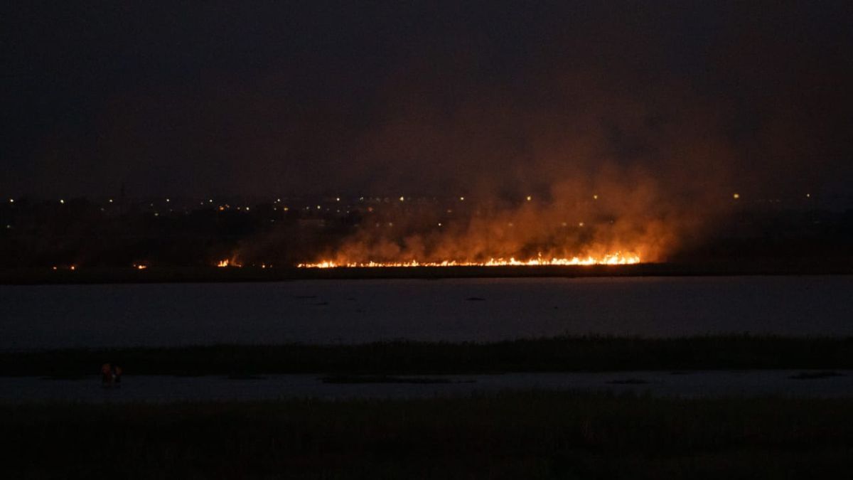 Las llamas sorprendieron a las personas que paseaban por la Costanera de Santa Fe. Las llamas sorprendieron a las personas que paseaban por la Costanera de Santa Fe.