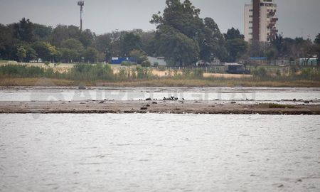 La bajante en la cuenca del río Paraná lleva más de dos años e impacta fuerte en la laguna Setúbal en Santa Fe. La bajante en la cuenca del río Paraná lleva más de dos años e impacta fuerte en la laguna Setúbal en Santa Fe.