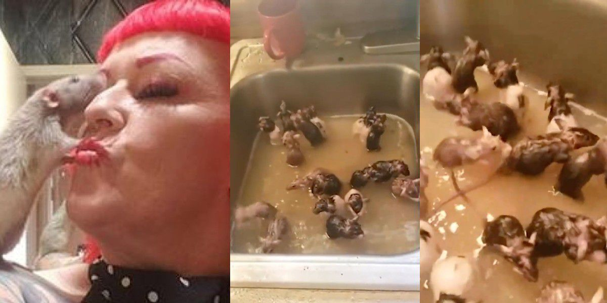 Michele Raybon, es la dueña de las 50 ratas.