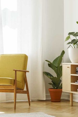 Las 3 plantas de interior ideales para tener en casa este invierno. Las 3 plantas de interior ideales para tener en casa este invierno.