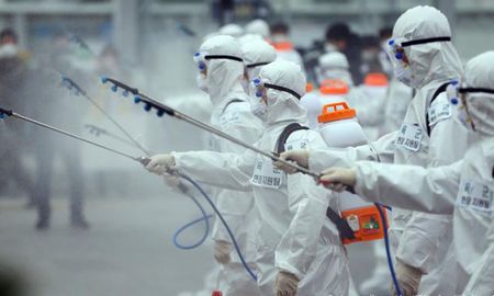 coronavirus: son 17 los muertos y mas de 800 los contagios en corea del sur coronavirus: son 17 los muertos y mas de 800 los contagios en corea del sur