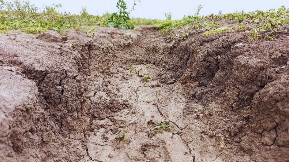 Registro del proceso de erosión laminar + surco + cárcava