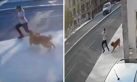 El hombre se encontraba caminando tranquilamente cuando el can salió al ataque. El hombre se encontraba caminando tranquilamente cuando el can salió al ataque.