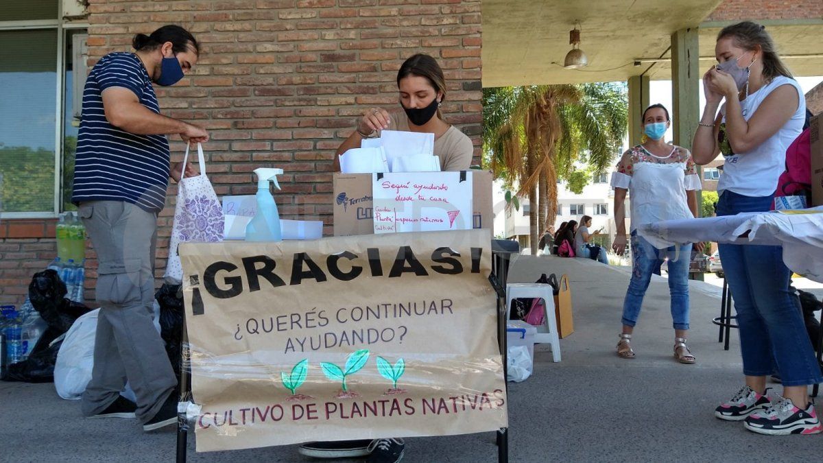 Cultivar plantas nativas en patios y jardines, una forma de ayudar con la preservación a futuro de la flora destruida por los incendios. 