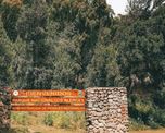 El ecosistema del Parque Nacional Los Alerces recibe abundantes lluvias anuales, lo que permite el desarrollo de una frondosa selva valdiviana.
