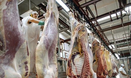 En noviembre, la carne aumentó hasta el 20% en las carnicerías. En noviembre, la carne aumentó hasta el 20% en las carnicerías.