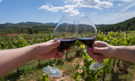 En la provincia de Entre Ríos existe una increíble ruta del vino que enamora a todos sus visitantes. En la provincia de Entre Ríos existe una increíble ruta del vino que enamora a todos sus visitantes.