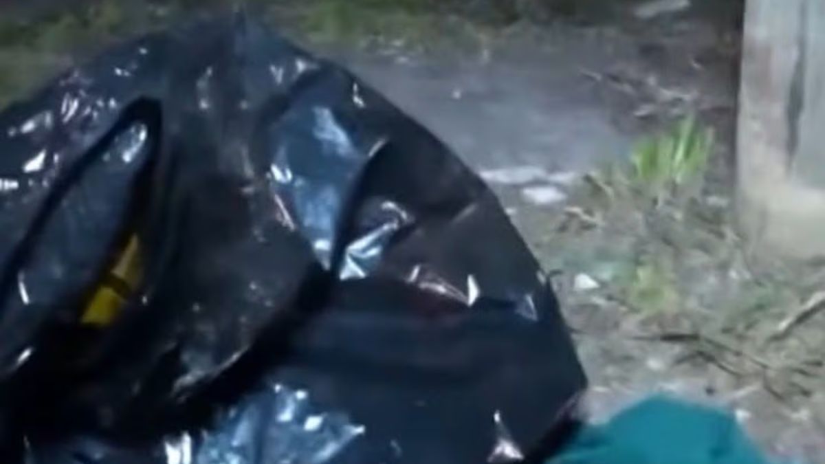 El hallazgo ocurrió durante trabajos para instalar un poste de luz frente a una vivienda. (Foto: CrónicaTV) El hallazgo ocurrió durante trabajos para instalar un poste de luz frente a una vivienda. (Foto: CrónicaTV)