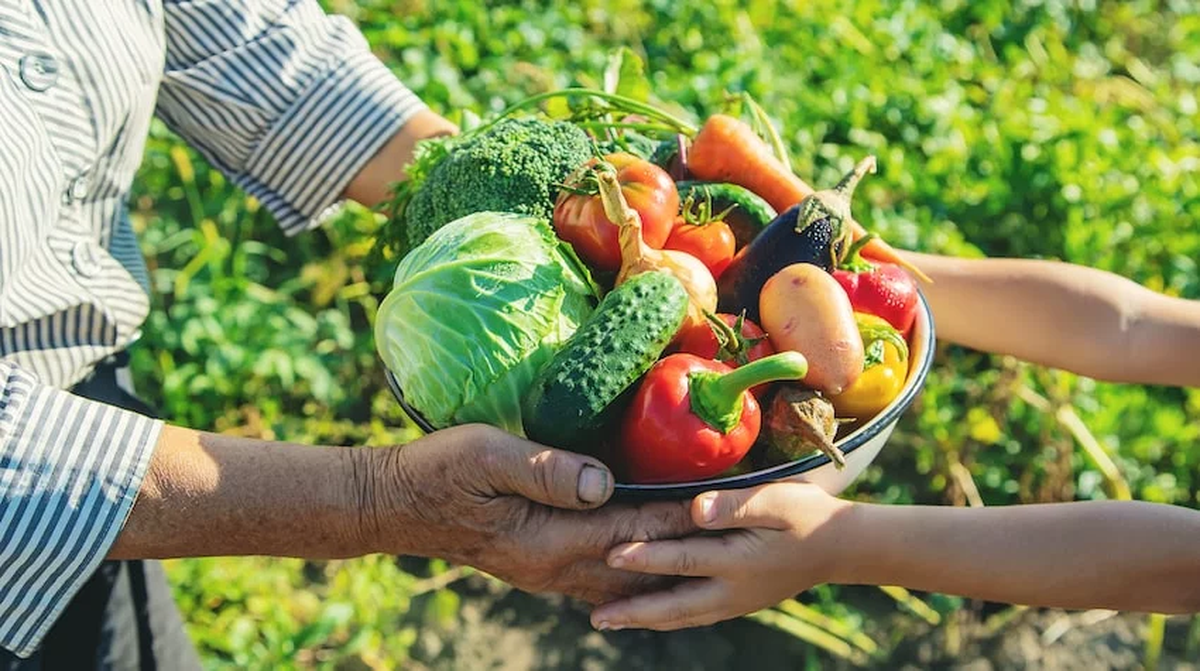En la actualidad en varios países se utilizan técnicas e innovaciones aplicadas a la tecnología para el labrado y cultivo de la tierra