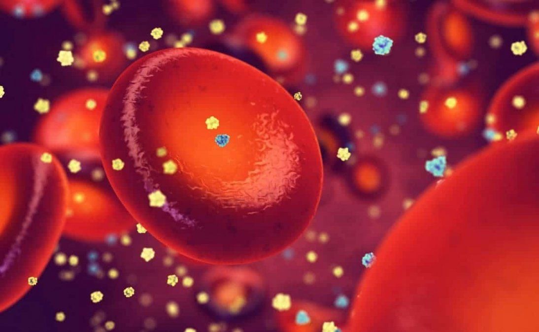 Conocé ps 5 trucos para acelerar el metabolismo y perder algunos kilos de más