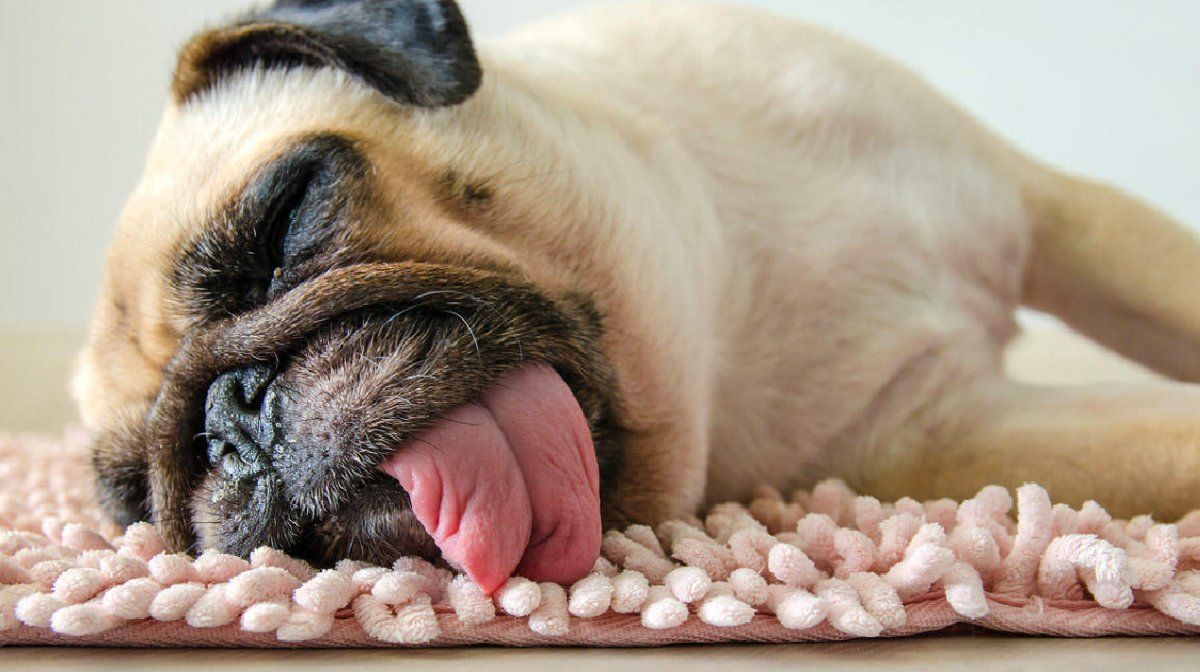 Cómo mantenerte en acción aunque no tengas ganas