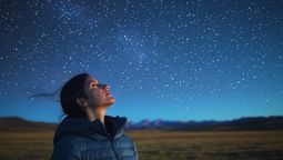 Las caminatas nocturnas por parques nacionales permiten el avistamiento de especies de hábitos crepusculares que permanecen ocultas durante el día para evitar a los depredadores y las altas temperaturas.