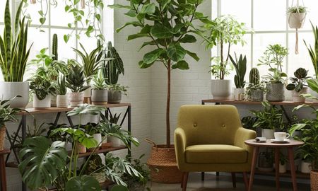 Integrar plantas al hogar mejora el aire y también el bienestar diario.