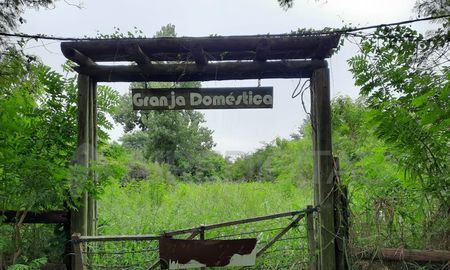 Tras en anuncio del proyecto Biodiversidad para la Acción Climática en La Esmeralda, organizaciones impulsaron un proyecto de ley para que no haya exhibición de animales. Tras en anuncio del proyecto Biodiversidad para la Acción Climática en La Esmeralda, organizaciones impulsaron un proyecto de ley para que no haya exhibición de animales.