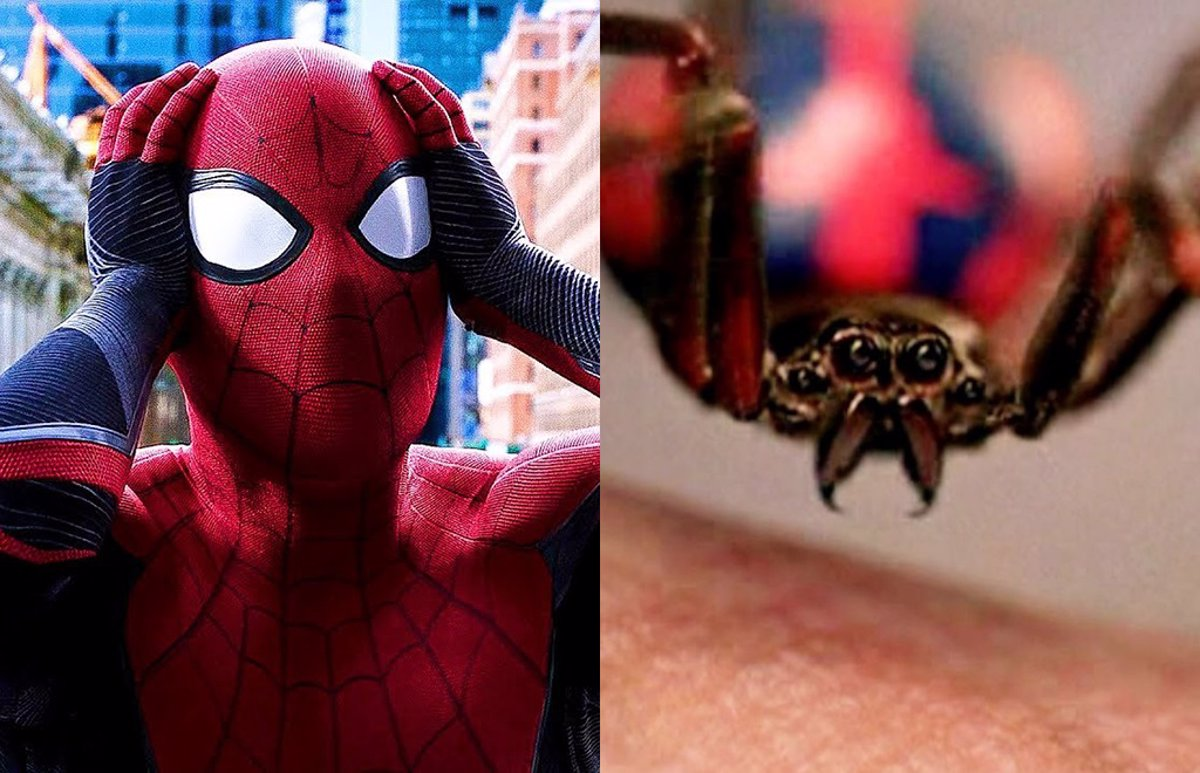 Un nene se hizo picar por una araña para poder ser Spiderman y casi se muere