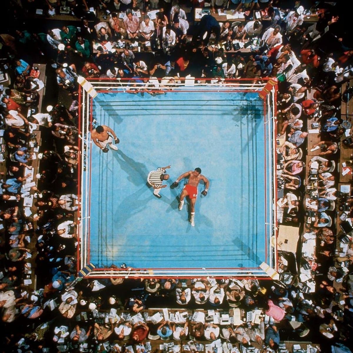 La Pelea del Año, para The Ring Magazine, fue una verdadera obra maestra. La Pelea del Año, para The Ring Magazine, fue una verdadera obra maestra.