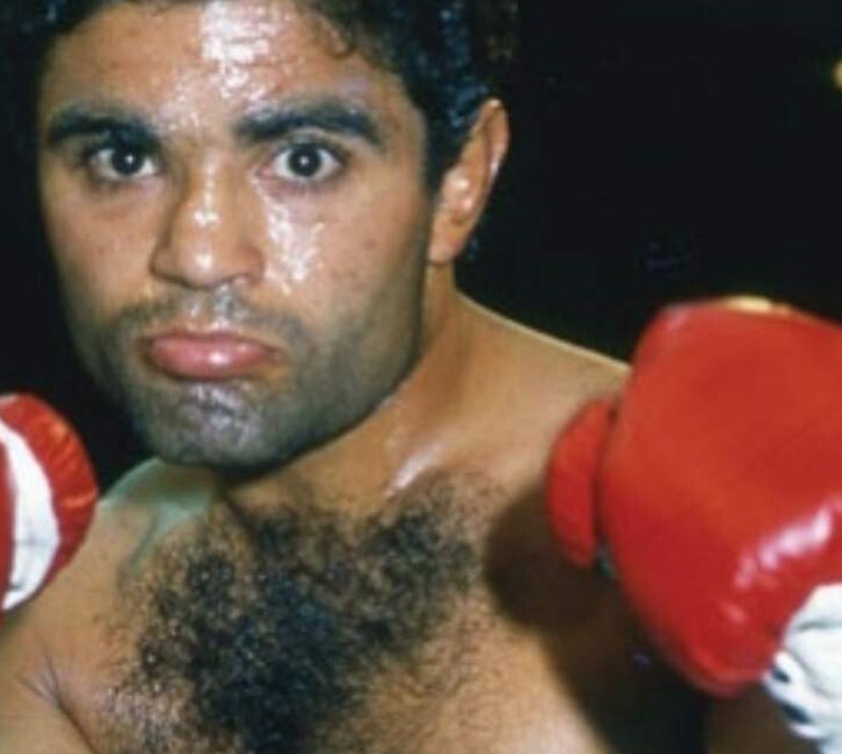 Desde su debut profesional, el viernes 3 de diciembre de 1976, en Huinca Renancó, hasta su última pelea, el viernes 21 de diciembre de 1990, en San Fernando del Valle de Catamarca, Laciar disputó 101 peleas, con un récord de 79-10-11-1 S/D (31 ko), y jamás fue noqueado. Desde su debut profesional, el viernes 3 de diciembre de 1976, en Huinca Renancó, hasta su última pelea, el viernes 21 de diciembre de 1990, en San Fernando del Valle de Catamarca, Laciar disputó 101 peleas, con un récord de 79-10-11-1 S/D (31 ko), y jamás fue noqueado.