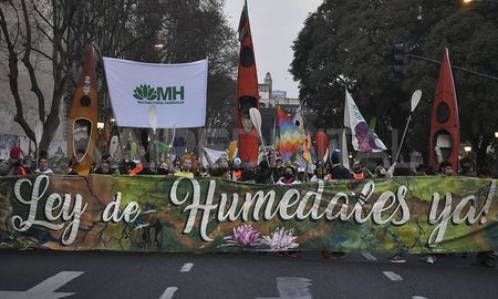 A pesar de la fuertísima presión ciudadana, el gobierno y el Congreso le dieron la espalda a la Ley de Humedales. A pesar de la fuertísima presión ciudadana, el gobierno y el Congreso le dieron la espalda a la Ley de Humedales.