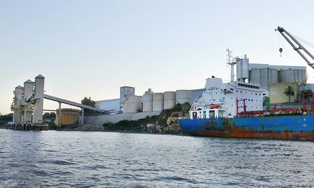 Vicentín es la principal empresa agroexportadora de capitales nacionales. Vicentín es la principal empresa agroexportadora de capitales nacionales.
