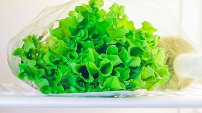 El truco definitivo para conservar la lechuga fresca en la heladera durante un mes
