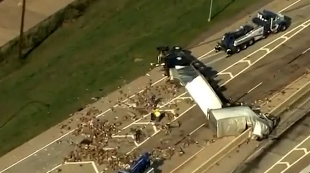 Volcó un camión repleto de consoladores y juguetes sexuales, y se volvió viral. (Foto: captura Twitter Barstool Sports)