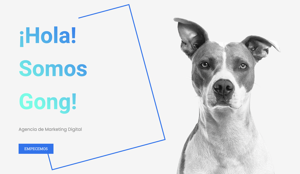 Agencia Gong! lleva adelante campañas publicitarias online.